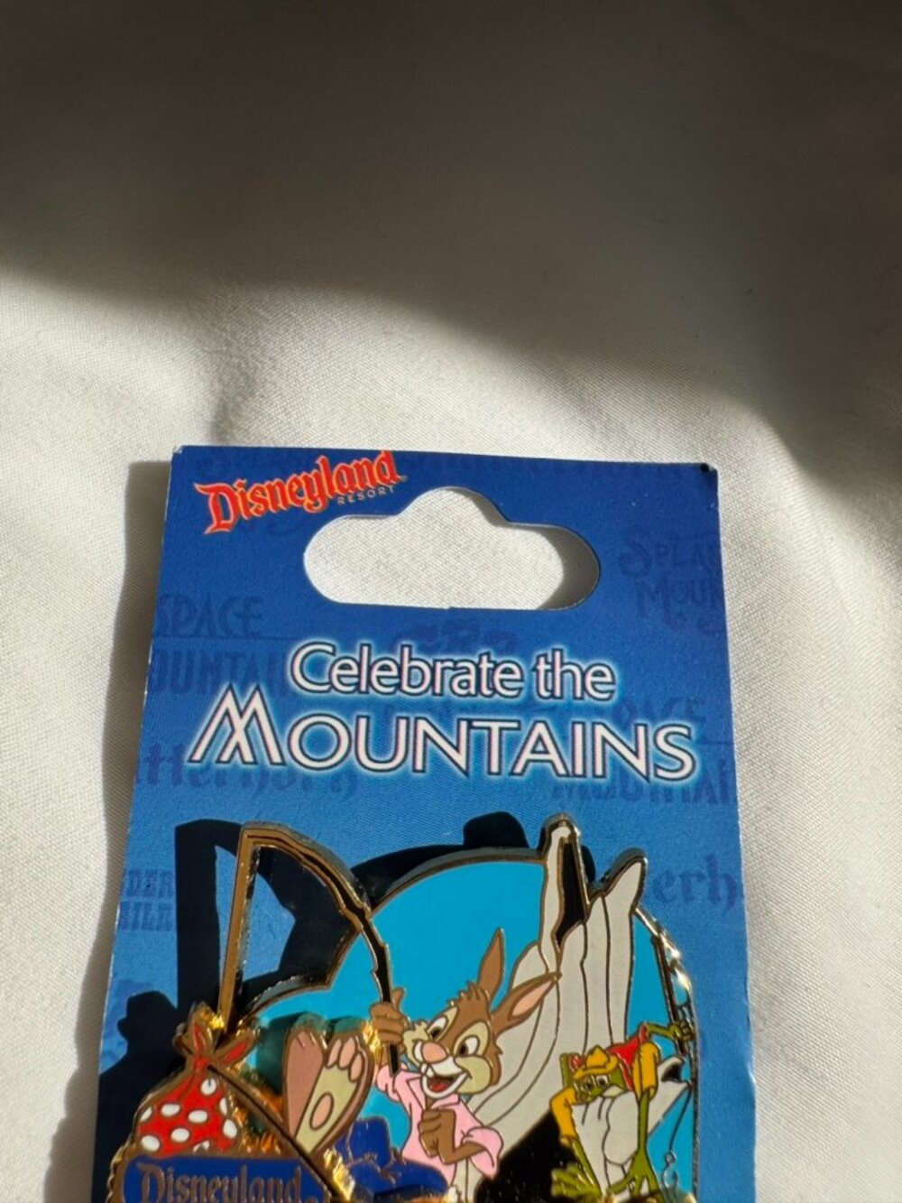 NWT Disneyland Celebrate the Mountains Splash Mountain Brer Rabbit Brer Frog Pin - Picture 6 of 15